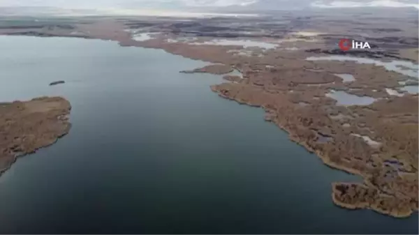 Ebe Gölü'nde kış mevsiminde beklenen yağış alınamadı