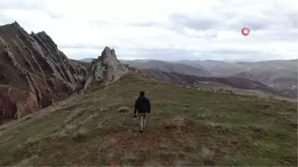 Doğada nadir görülen yaban keçilerini sürü olarak görüntüledi