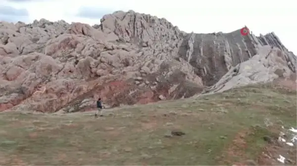 Yıllardır peşindeydi, doğada nadir görülen vaşağı böyle görüntüledi