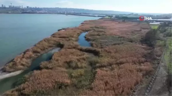 İstanbul'da barajların doluluk oranı yüzde 45'in üzerine çıktı