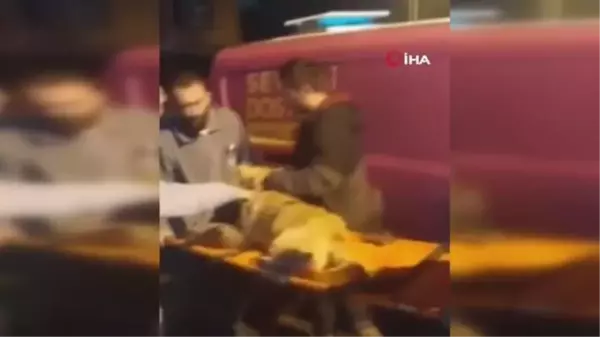 Üsküdar'da köpeği silahla vurarak yaraladılar...Köpeğin çırpınma anları kamerada