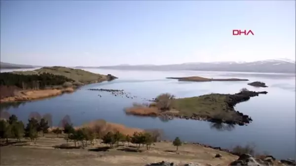 BUZLARI ERİYEN ÇILDIR GÖLÜ, KUŞ CENNETİNE DÖNDÜ