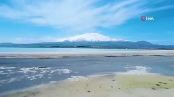 Kuş Cenneti Arin Gölü'nde kuraklık tehlikesi