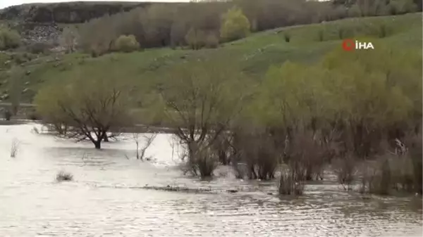 Kars'ta ağaçlar baraj suları altında kaldı