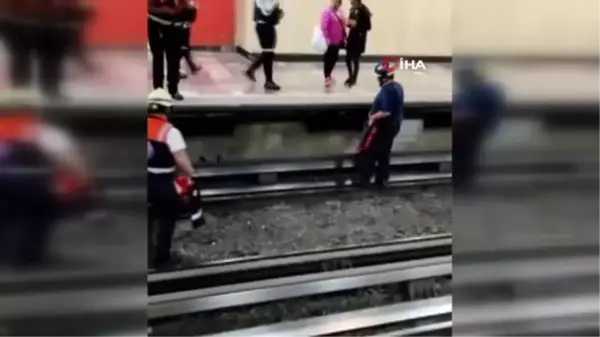 Raylara giren tavuk metro seferlerini aksattı