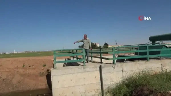 Fırat ve Dicle Nehri, başta Türkiye olmak üzere Ortadoğu'ya hayat veriyor