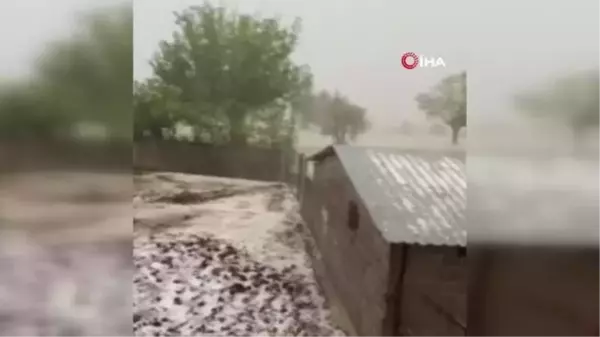 Osmaniye'de dolu yağışı buğday tarlalarını vurdu