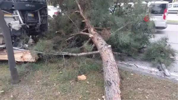 Samsun'da işçi servisi kazası: 9 yaralı ve bir karga yavrusu