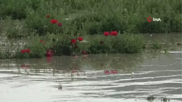 Muş'ta sel felaketinin yaraları sarılıyor