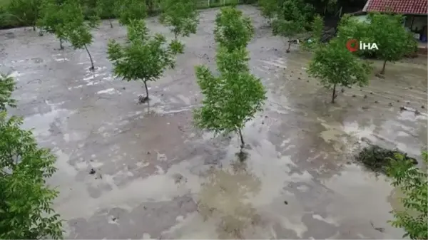 Amasya'da sağanak sonrası sel seraları da vurdu