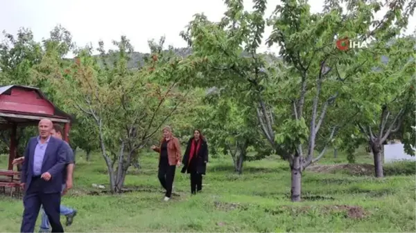 Devlet Desteği ile Meyve Bahçesi Kurdu