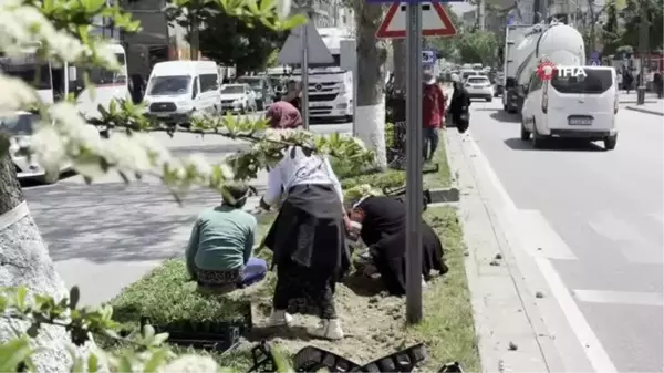 Tatvan kadın eliyle güzelleşiyor