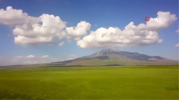 Bahar çiçekleriyle renklenen Sütey Yaylası ve Süphan Dağı hayranlık uyandırıyor