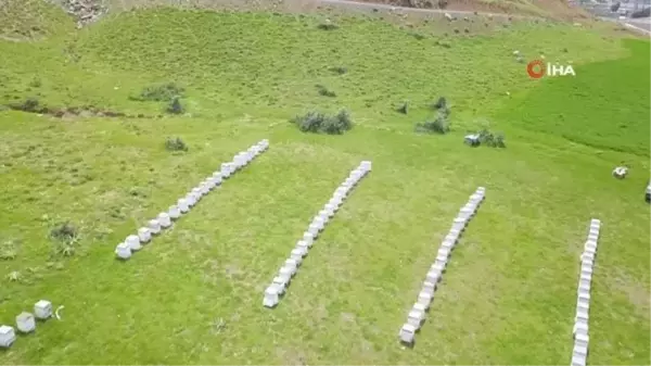 Bitlis Balı Dünya Birincisi Oldu