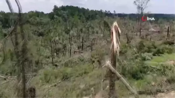 ABD'nin Mississippi eyaletinde hortum: 1 ölü, 20'den fazla yaralı