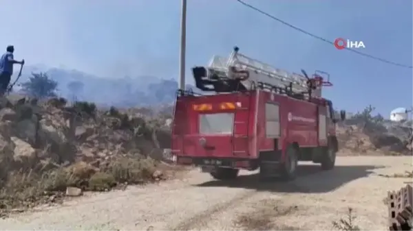 Bodrum'da otluk ve makilik yangını söndürüldü