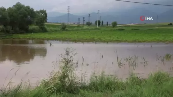 Sandıklı'da sağanak yağış tarım arazilerine zarar verdi