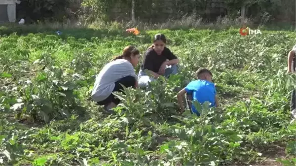 Şırnak'ta Sebze Üretimine Destek Projesi