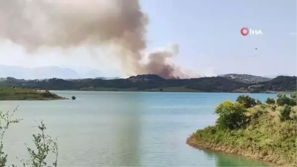 Adana'da orman yangını: Havadan ve karadan müdahale başladı