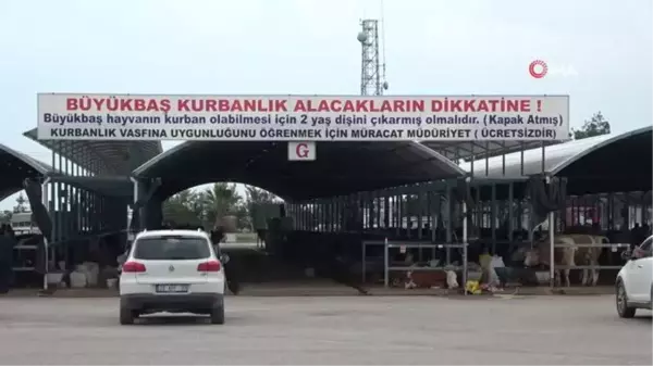 Vatandaşlar kurbanlık için son günü bekliyor