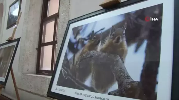 Yaban hayatı fotoğrafçısı, sattığı fotoğrafların gelirini lösemili çocuklara bağışladı