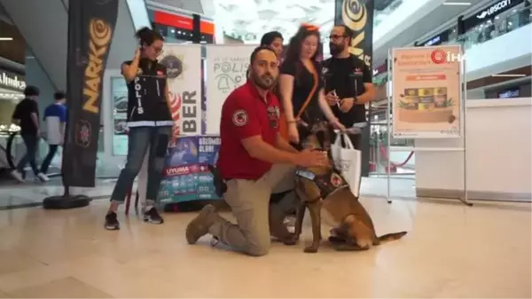 Narkotik köpeği 'Kongar' ilgi odağı oldu