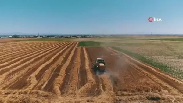 Aksaray'da yağışlar ürün rekoltesini 2 katına çıkardı