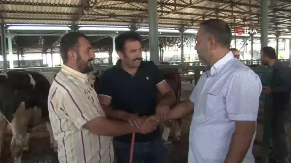 Eskişehir'de Kurbanlık Satıcıları Çifte Bayram Yapıyor