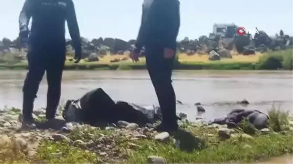 Dicle Nehri'nde kaybolan yabancı uyruklu gencin cansız bedeni bulundu