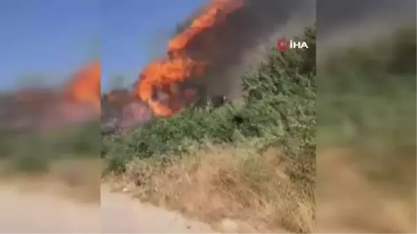 Fırat Nehri Kenarındaki Yangın Ormanlık Alana Zarar Verdi