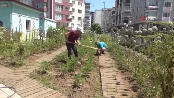 AtaTohum'da yazlık fideler toprakla buluştu