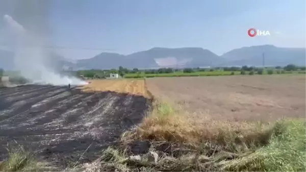 Manisa'da çıkan ekin tarlası yangını söndürüldü