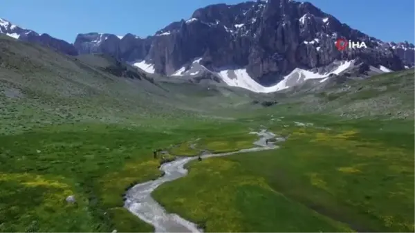 İsviçre Alperi değil, Munzur Dağı'ndaki Merg Yaylası