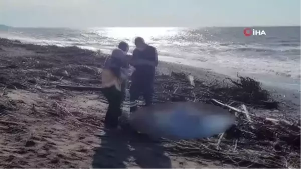 Odun toplamak için gittiği sahilde cansız bedeni bulundu