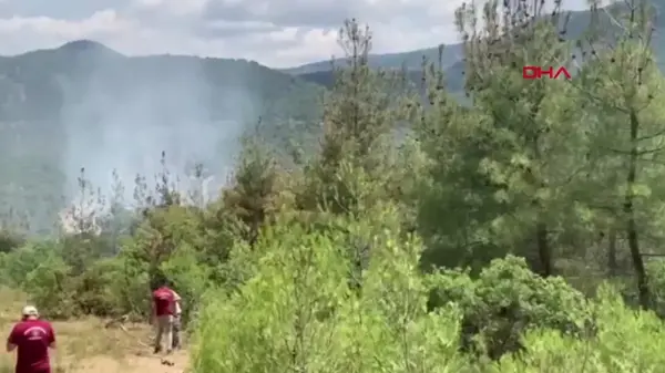 Eskişehir'de Orman Yangını Çıktı