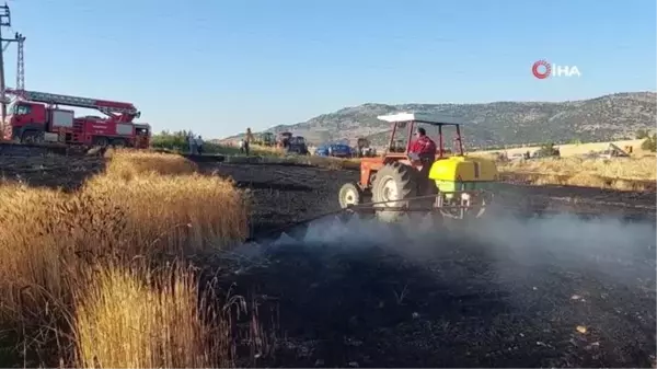 Elektrik direğinden çıkan yangında 8 dönüm arazi kül oldu