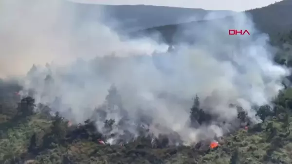 Balıkesir Dursunbey'de Orman Yangını