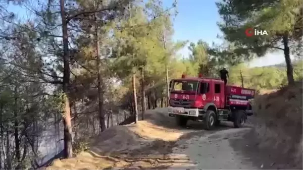 Hatay'da çıkan orman yangını kontrol altına alındı