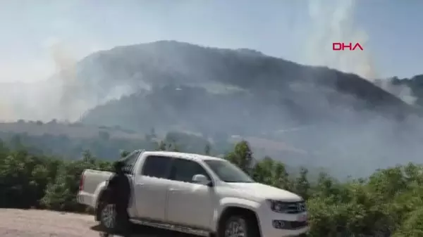 Osmaniye'de Gaffarlı köyünde orman yangını