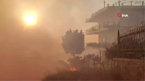 Atina yakınlarında iki orman yangını Kundaklama şüphesiyle 1 kişi gözaltı alındı