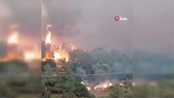 Yunanistan orman yangınlarıyla mücadele ediyor