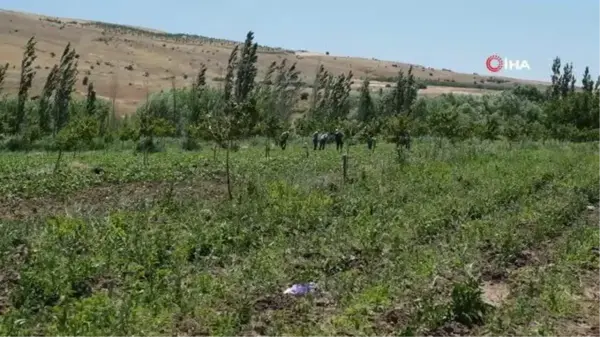 Arguvan Belediyesi İlk Kez Kuru Fasulye Ekti