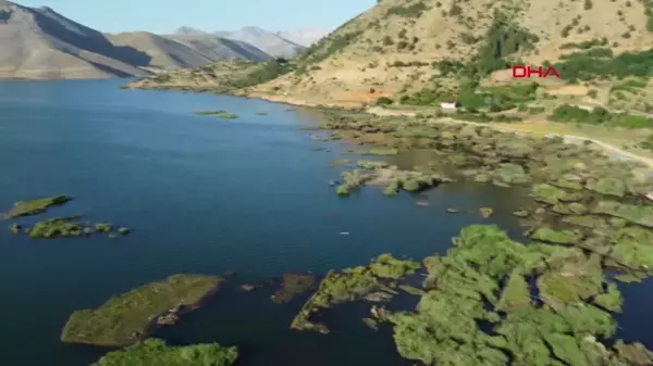 Çat Baraj Gölü'ndeki Yüzen Adalar Sabit Hale Getirildi