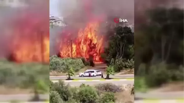 Çalılık alanda çıkan yangın arı dolu kovanları küle çevirdi