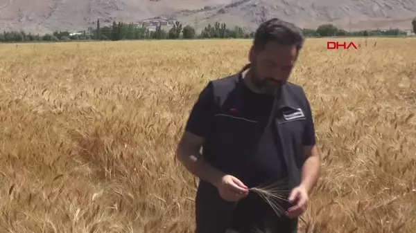 Elbistan Belediyesi Deprem Sonrası Ücretsiz Ekmek Dağıtıyor