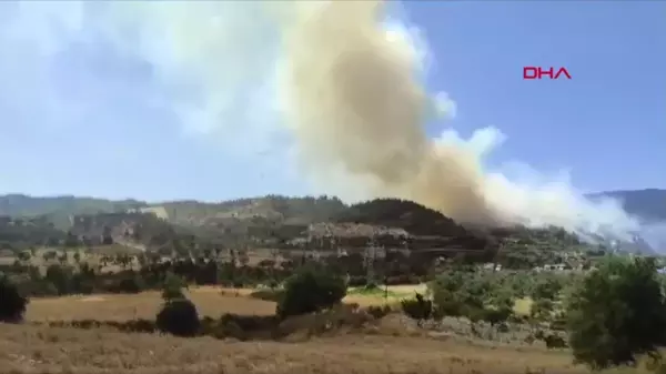 Antakya'da Orman Yangını Çıktı