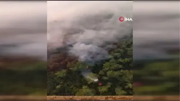 Turizm merkezi Kemer'deki orman yangınına havadan müdahale başladı