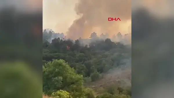 Beykoz'da Orman Yangınları Kontrol Altına Alındı