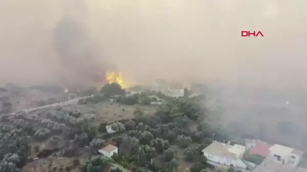 Yunanistan'ın Rodos adasında orman yangınlarına mücadele sürüyor