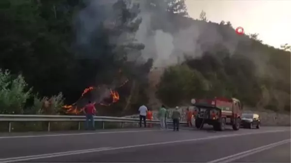 Sakarya'da orman yangını Vatandaş ve ekiplerin erken müdahalesi alevlerin büyümesini önledi